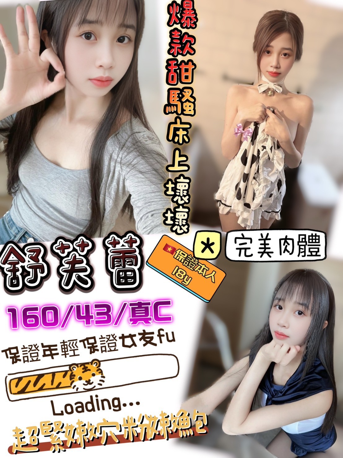 新竹金山 北區定點